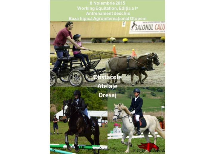 Working Equitation, antrenament deschis
