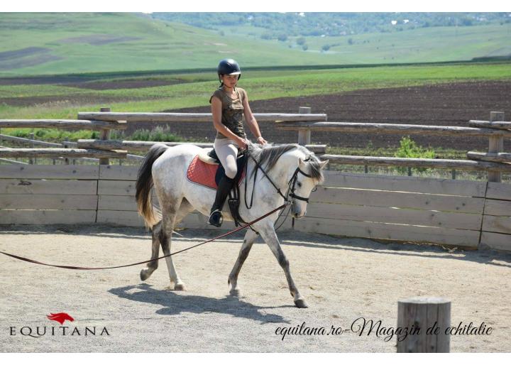 DE VÂNZARE: IAPĂ SHAGYA ARAB