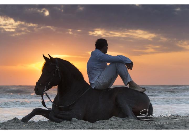 CURS DE "NATURAL HORSEMANSHIP" APLICAT SI COMPORTAMENT CABALIN