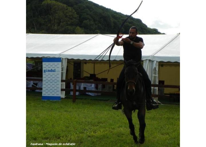 IN ACEST WEEK-END: DEMONSTRATIE DE ARTE MARTIALE ECVESTRE, CU DENIS STEFAN, LA CUPA BUCOVINEI, RADAUTI