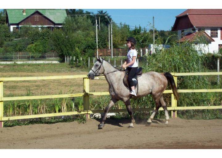 ASOCIAŢIA SPORTIVĂ ZEKI, REGHIN, JUDEŢUL MUREŞ