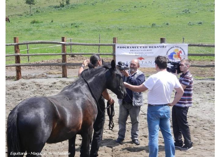 CAII LUPILOR, DENIS STEFAN SI EQUITANA LA BISTRITA