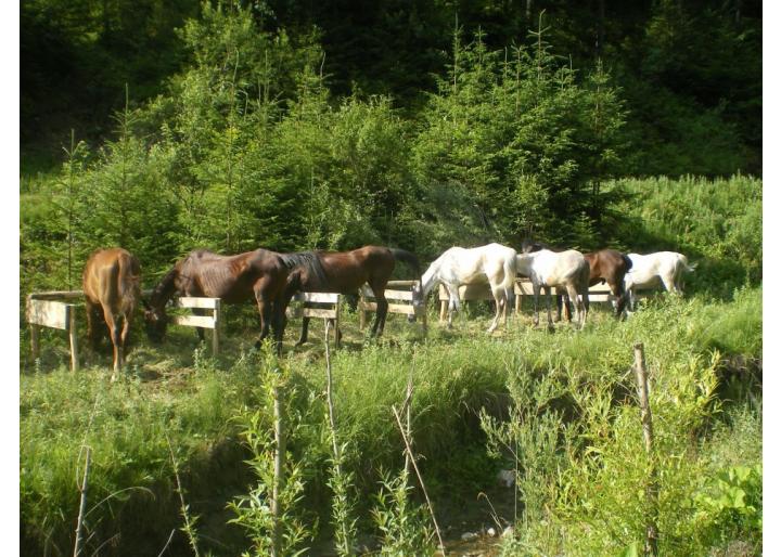 Centrul Ecvestru Gobé, Gheorgheni, județul Harghita