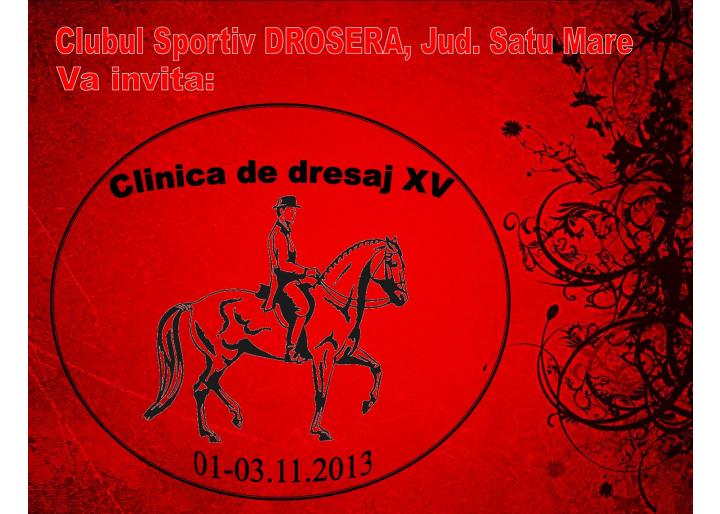 01-03.11.2013 CLINICA DE DRESAJ XV, Clubul Sportiv Drosera, Jud. Satu Mare
