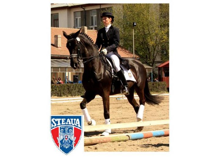 IN WEEK-END: CUPA STEAUA DRESAJ BUCURESTI