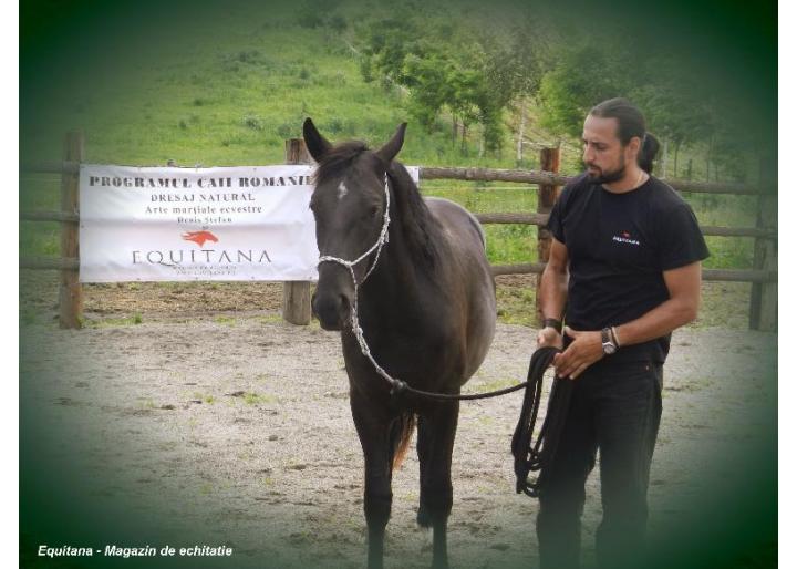 In acest week-end: 21-22.07.2012 DRESAJ NATURAL LA CAII LUPILOR, Bistrita Nasaud