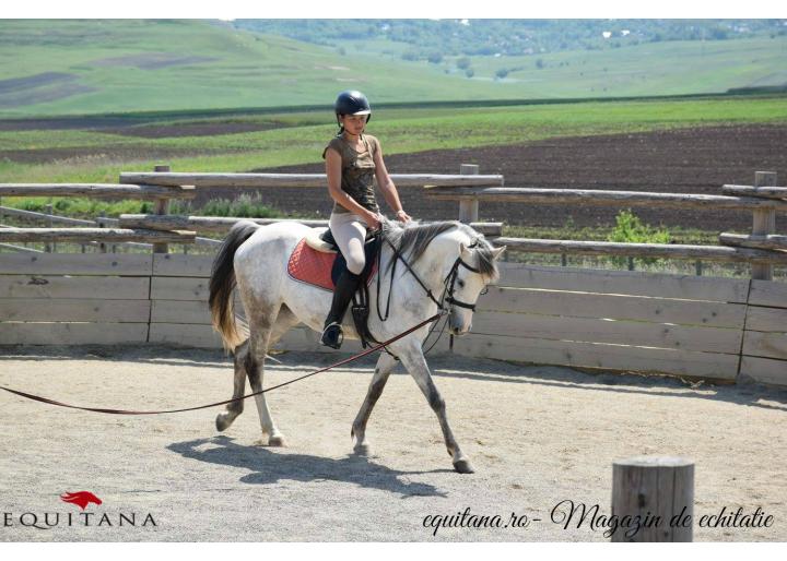 De vânzare: Iapă Shagya Arab