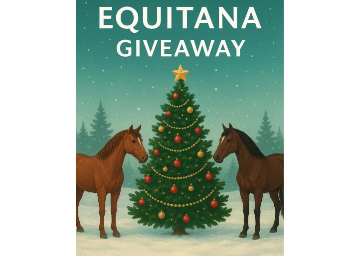 Regulament Giveaway Crăciun 