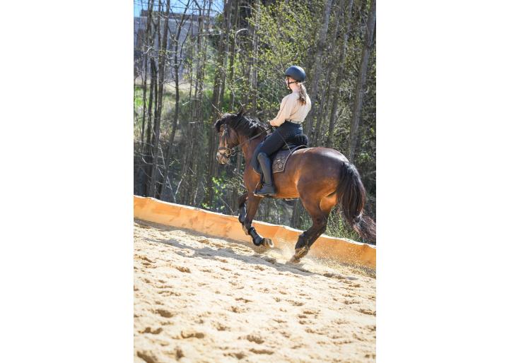 Iarna la cai: echipamentele fără de care un călăreț nu pornește la drum