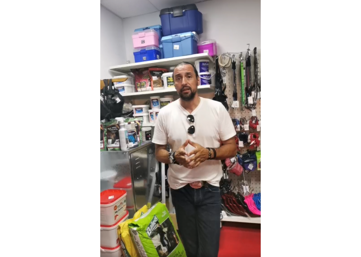 Denis Ștefan despre nutriția și îngrijirea cailor – Recapitulare live din magazinul Equitana Snagov Plaza