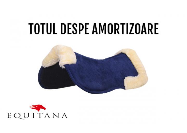 De ce este important amortizorul? #EducațieÎnEchitație