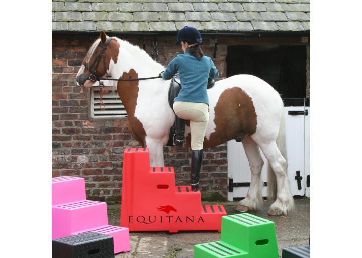 Importanța scării/mounting block #EducațieÎnEchitație