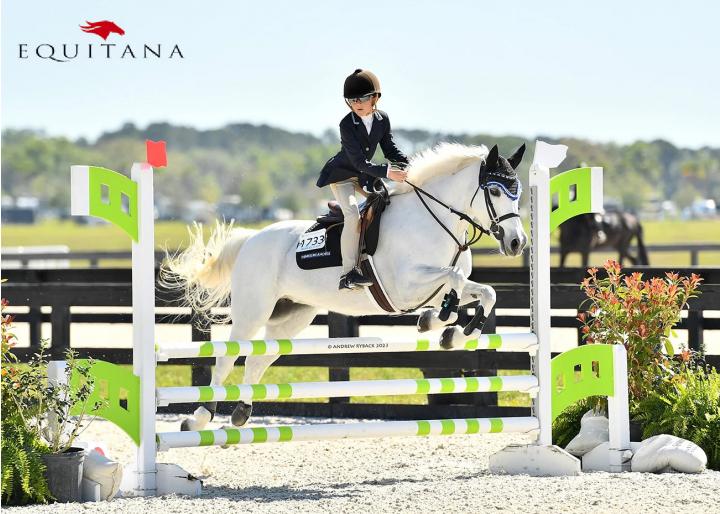 Echitația și copiii #EducațieÎnEchitație