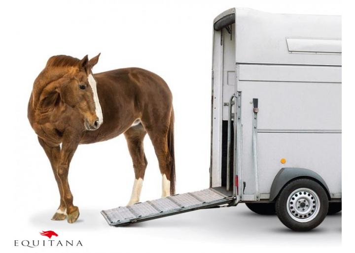 Călătorești cu calul tău? Găsești aici informații esențiale! #EducațieÎnEchitație
