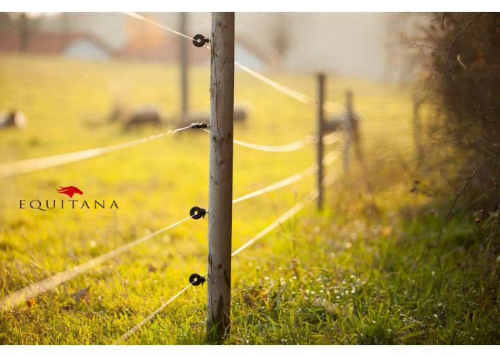 Gardul electric: avantaje, dezavantaje și recomandări #EducațieÎnEchitație