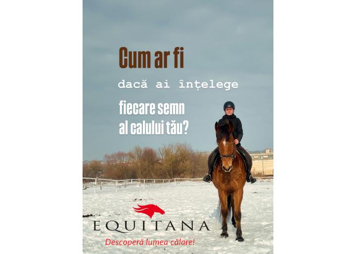 Direcția educației ecvestre - Vocea Cailor și #EducațieÎnEchitație