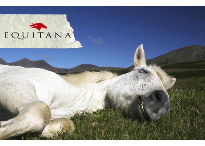 Caii si somnul - Pe îndelete, #EducațieÎnEchitație