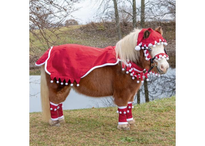 Moș Nicolae în grajd: idei de cadouri pentru cai și călăreți