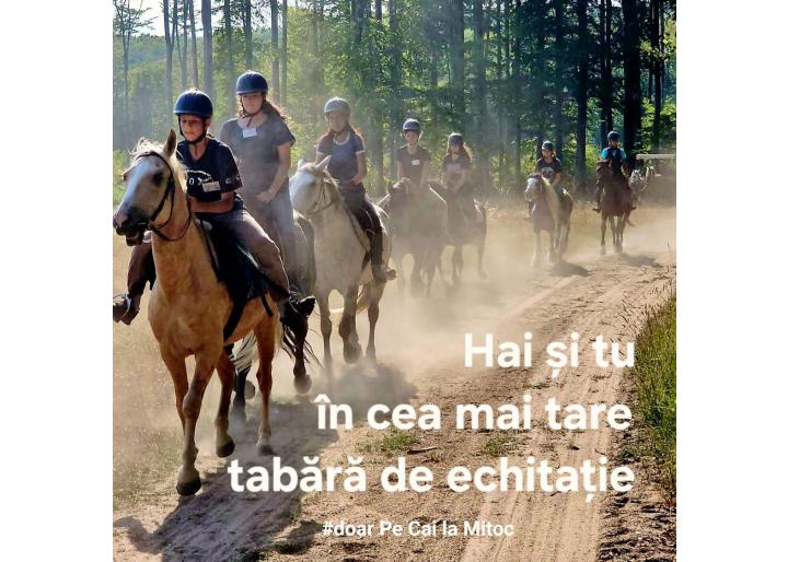 Pe Cai la Mitoc: anunț tabere copii în Suceava