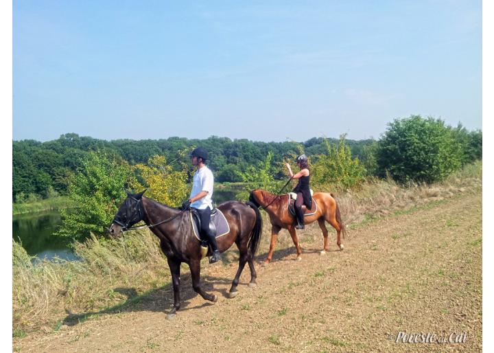 Centrul de Echitaţie “Poveste cu Cai”, Ghionea, jud. Giurgiu