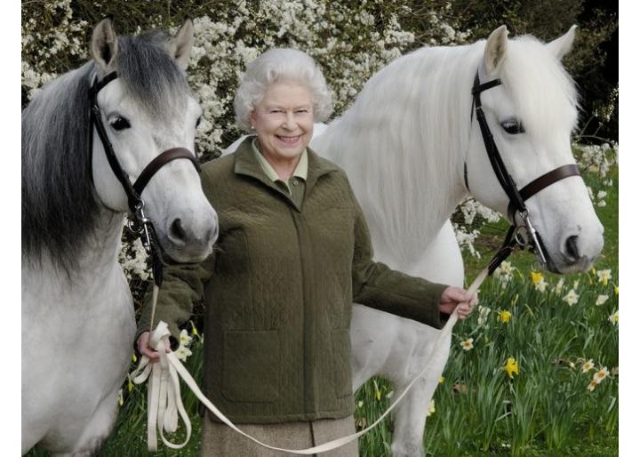 Caii și Coroana: De ce regii Marii Britanii au urcat în șa de secole