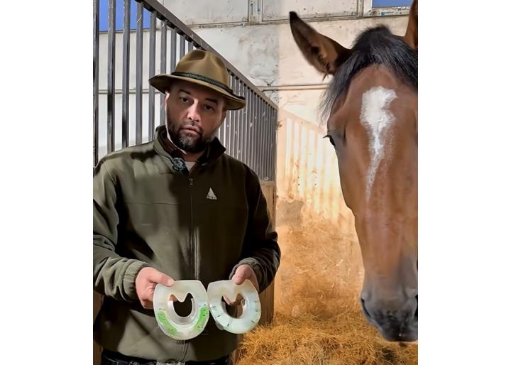 De ce potcoavele din compozit Duplo pot salva mersul unui cal cu probleme podale