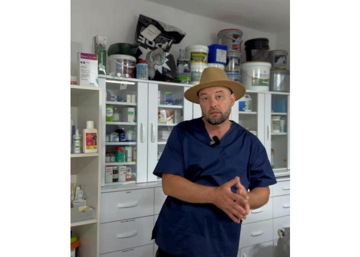 [VIDEO / Dr. Răileanu] Caii nu au nevoie de mituri, ci de echilibru metabolic 