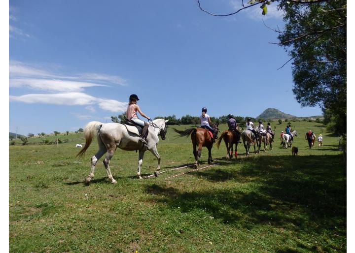 Tabăra de echitație 7Cai, Nămăiești, jud. Argeș