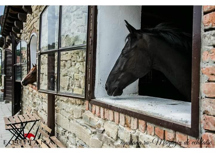Deschiderea oficială Villa Abbatis Equestrian Center, loc. Apoș, jud. Sibiu