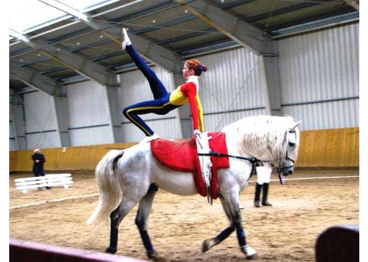 Campionat național de voltijă, Timișoara