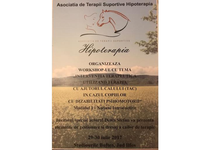 Workshop de hipoterapie cu Anca Bîlbă