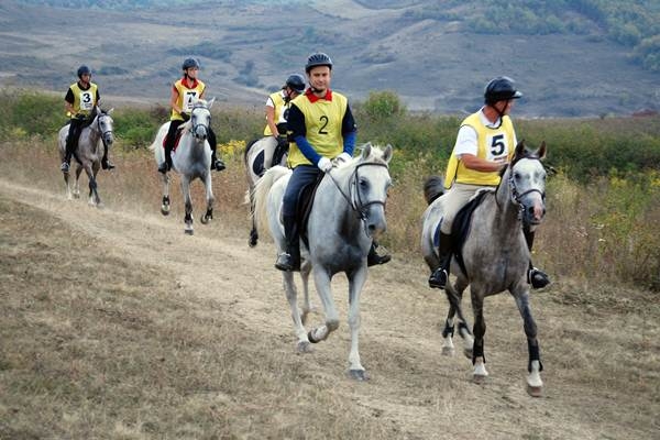 Concurs de anduranță- Etapa zonală, Sibiu