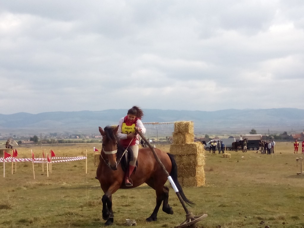 Concurs de îndemânare pentru călăreți cu ocazia zilei de Sfântul Mihail la Ciceu, județul Harghita