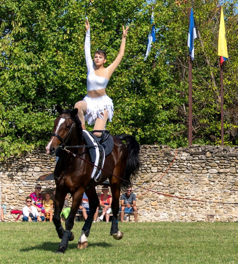 Voltijă – Eleganță, forță și armonie pe spinarea calului