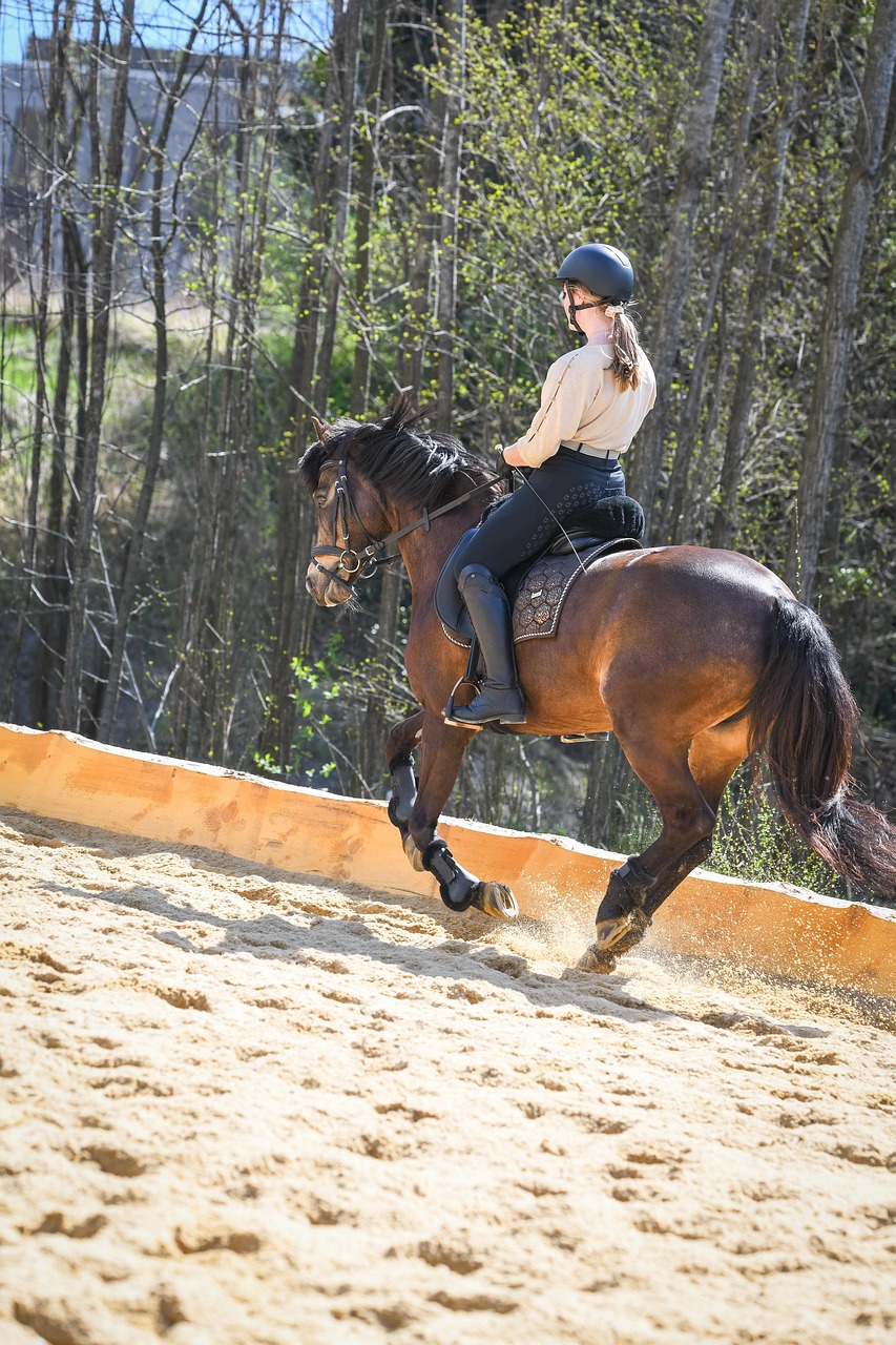 Iarna la cai: echipamentele fără de care un călăreț nu pornește la drum