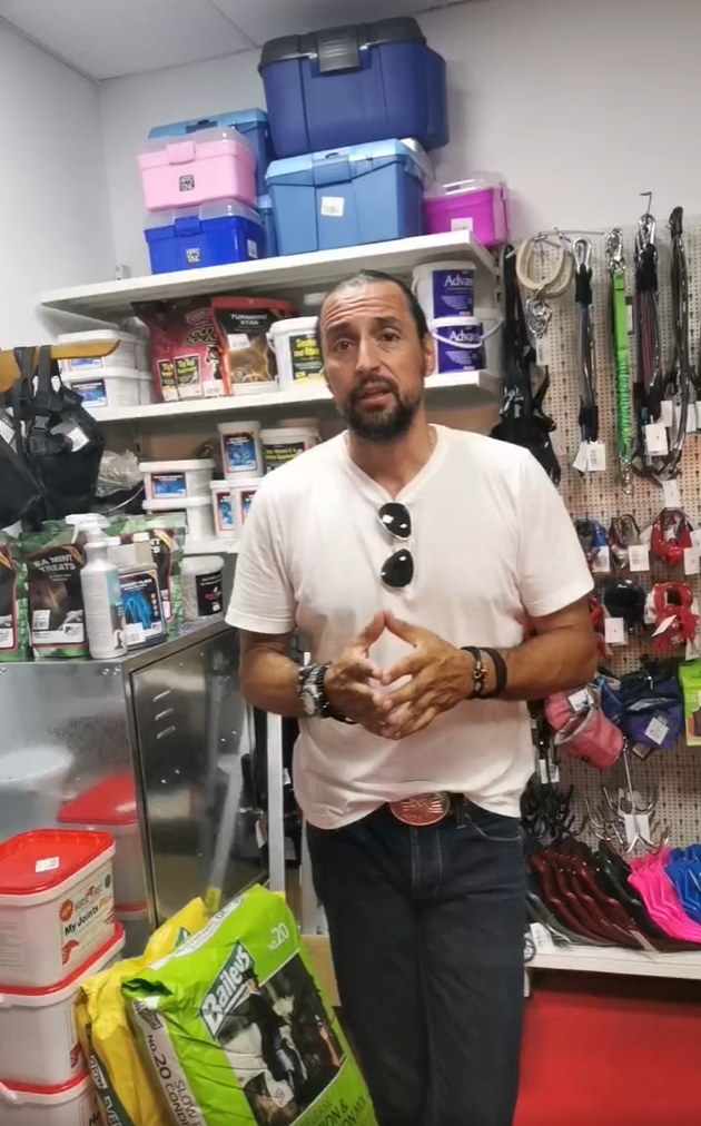 Denis Ștefan despre nutriția și îngrijirea cailor – Recapitulare live din magazinul Equitana Snagov Plaza