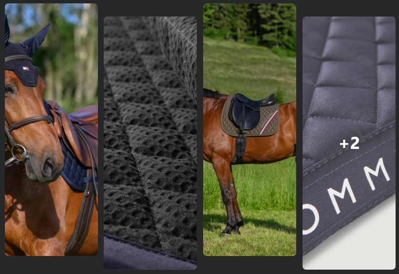 Când stilul întâlnește confortul pentru calul tău: valtrapul Stanford 