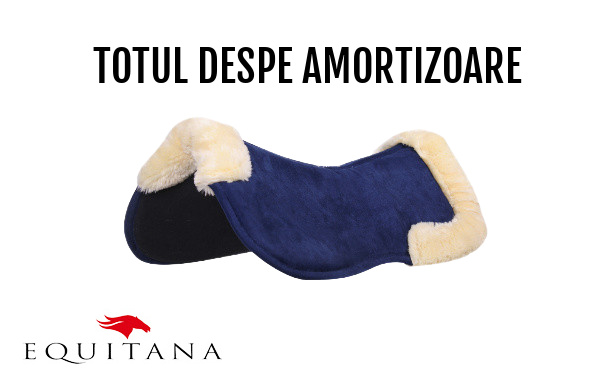 De ce este important amortizorul? #EducațieÎnEchitație