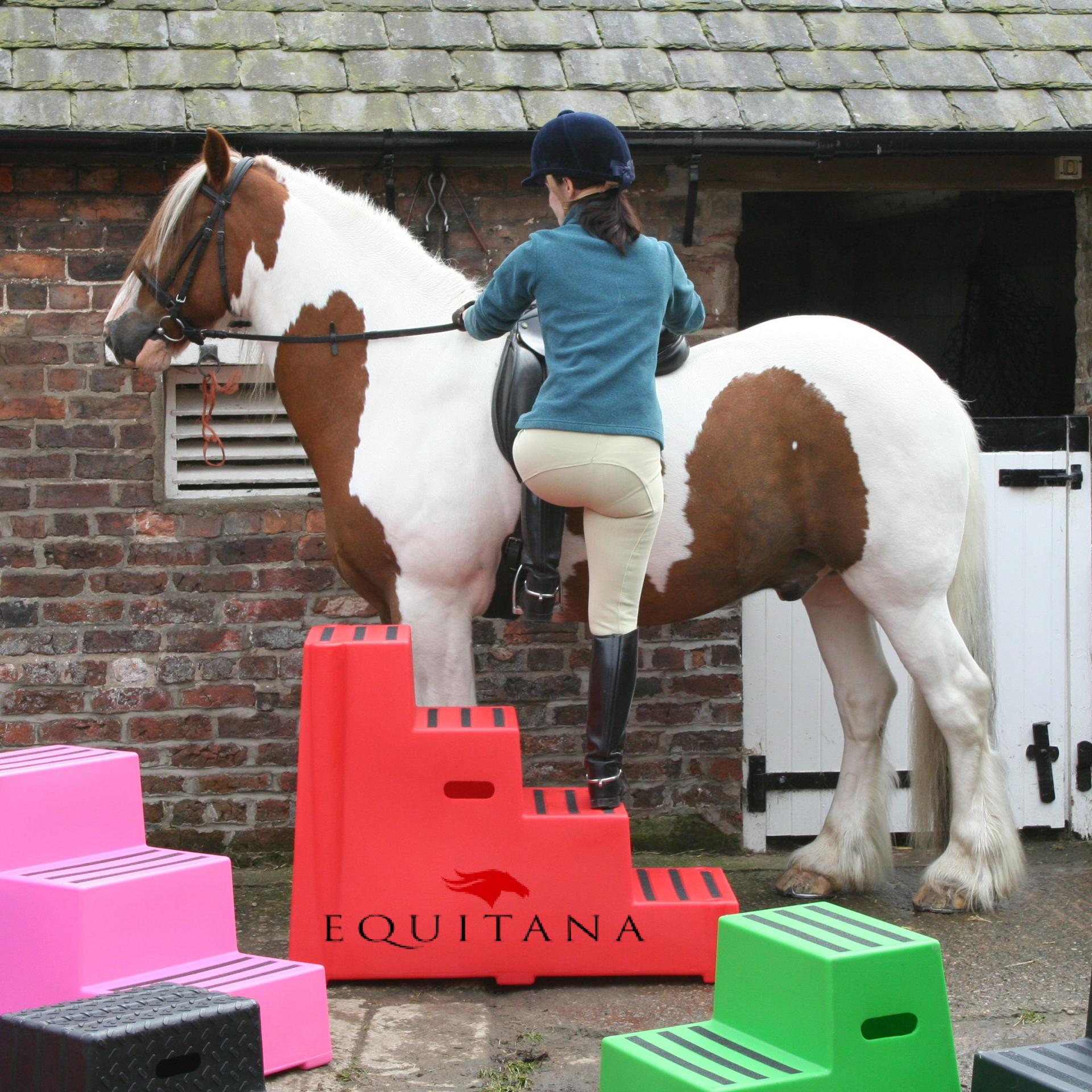 Importanța scării/mounting block #EducațieÎnEchitație