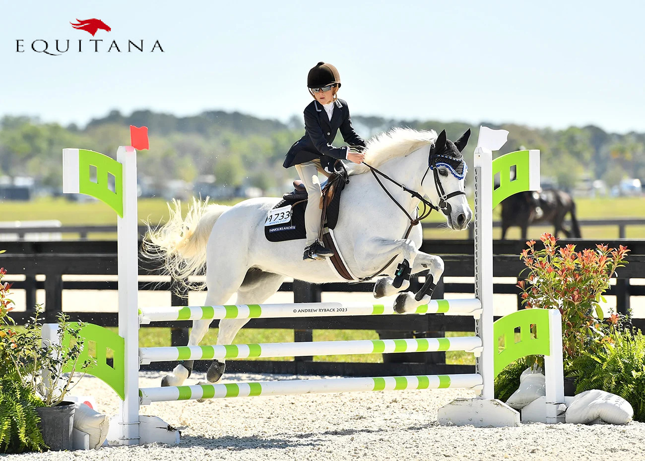 Echitația și copiii #EducațieÎnEchitație