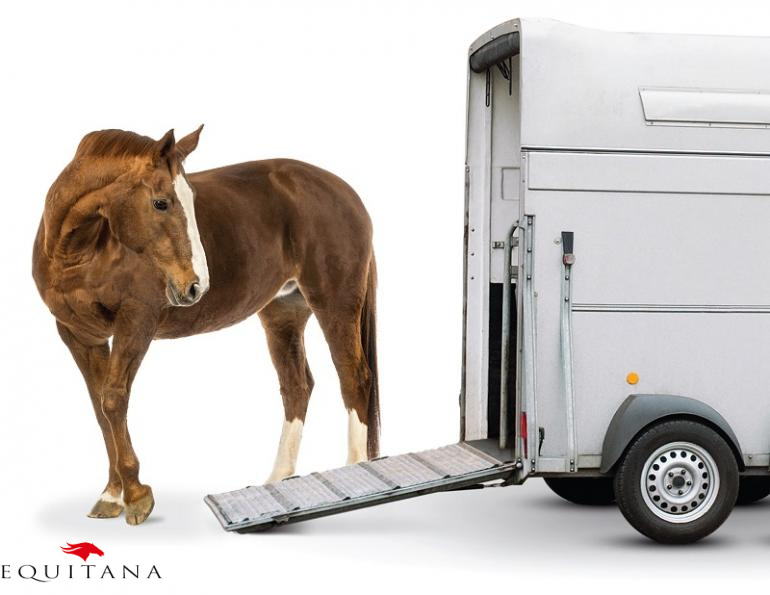 Călătorești cu calul tău? Găsești aici informații esențiale! #EducațieÎnEchitație