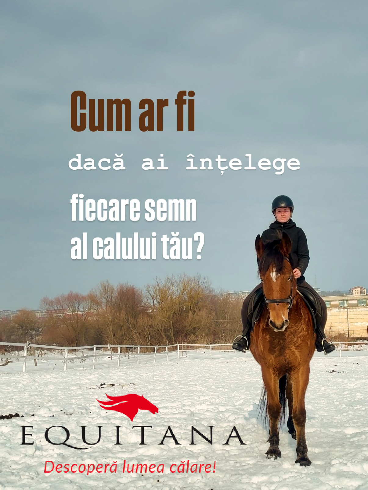 Direcția educației ecvestre - Vocea Cailor și #EducațieÎnEchitație