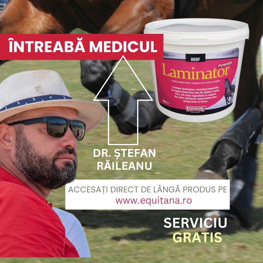 Întreabă medicul: un serviciu gratuit pentru decizii informate în îngrijirea ecvină