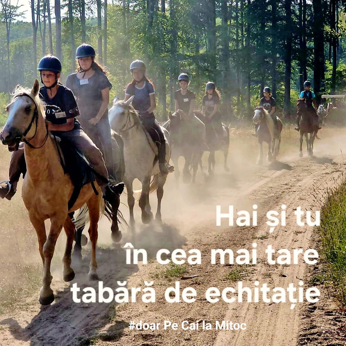 Pe Cai la Mitoc: anunț tabere copii în Suceava