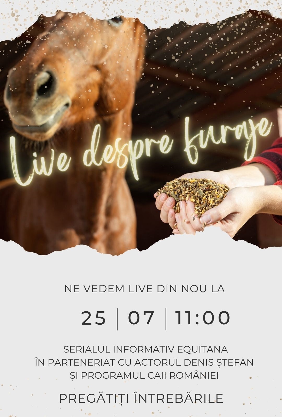 Live interactiv cu Denis Ștefan: Furaje și nutriția calului – întreabă direct!