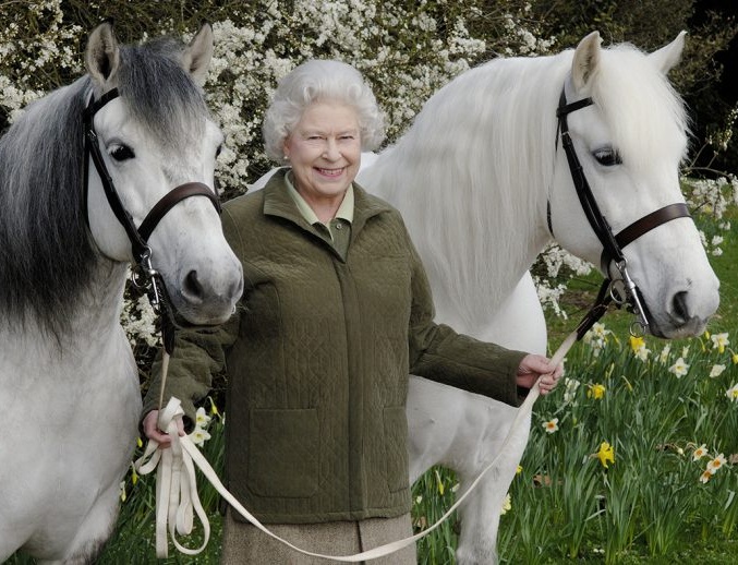 Caii și Coroana: De ce regii Marii Britanii au urcat în șa de secole