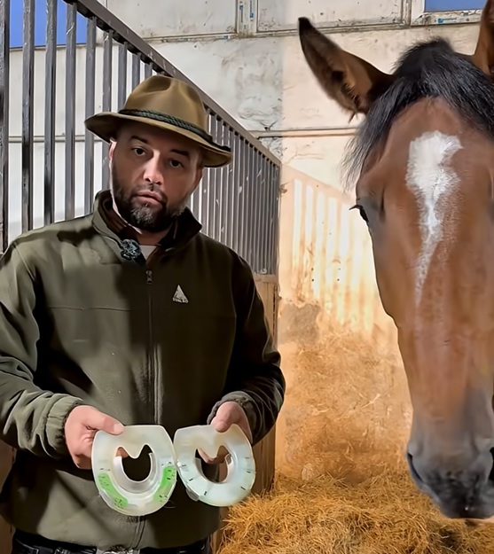 De ce potcoavele din compozit Duplo pot salva mersul unui cal cu probleme podale