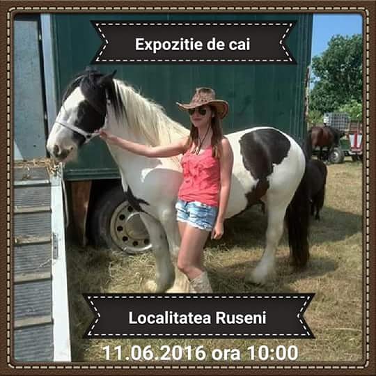 Expoziție de cai, localitatea Ruseni, Satu-Mare