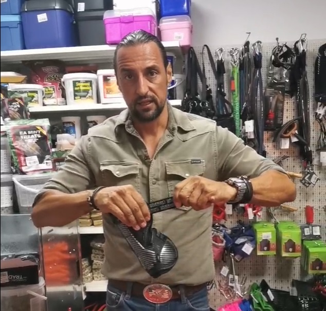 [Video] Stübben Hybrid – Protecție și flexibilitate la cel mai înalt nivel, acum la Equitana