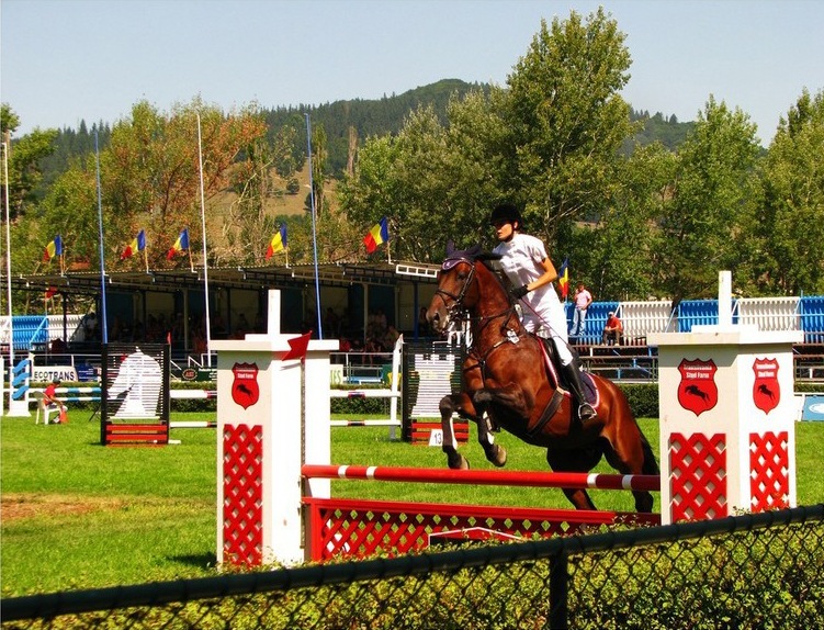 Trofeul „Virgil Bărbuceanu”, Piatra Neamţ